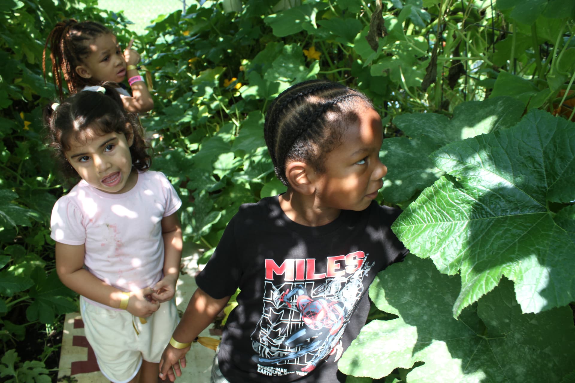Children exploring big leaves in the vegetable garden