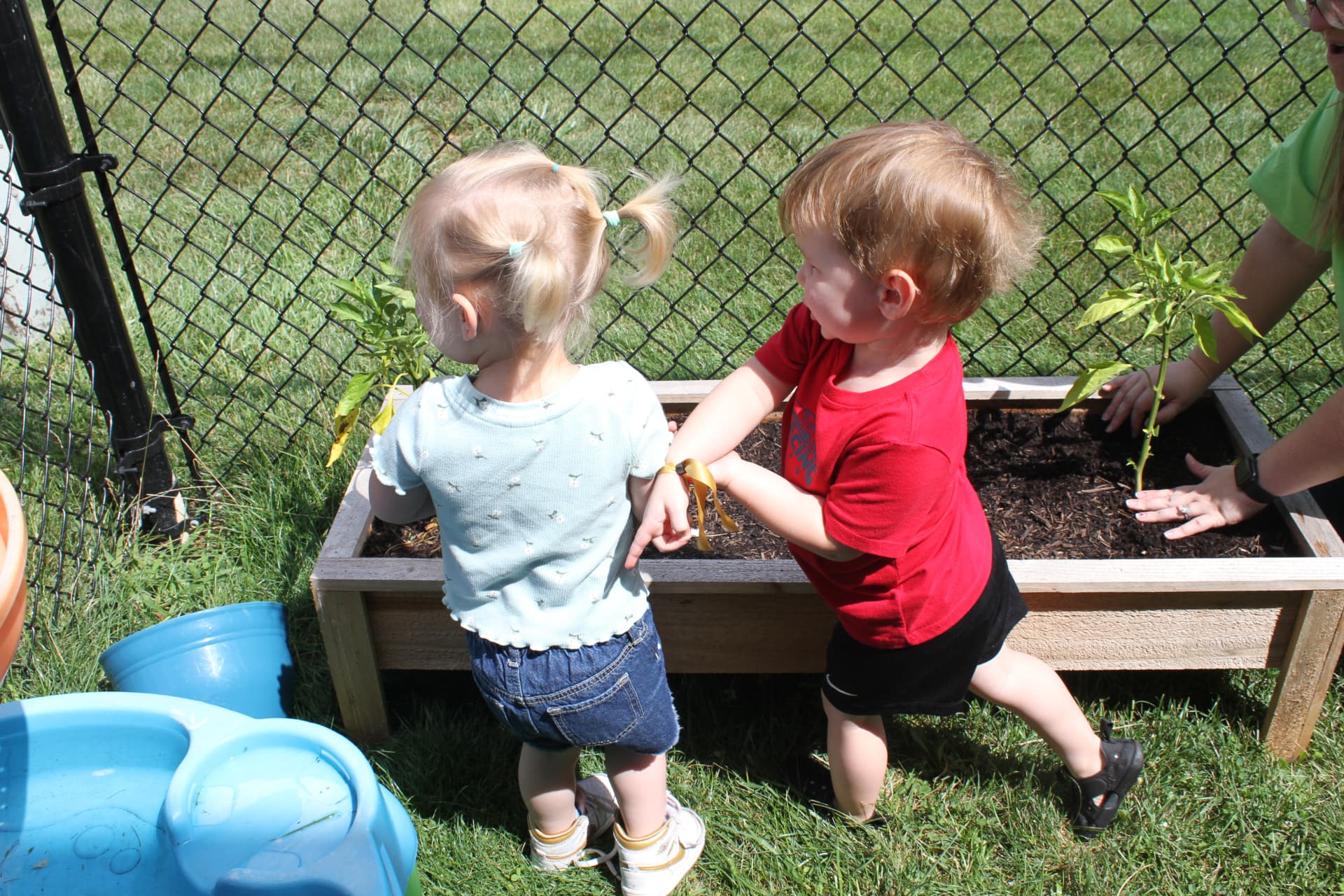 Toddlers planting in the garden beds