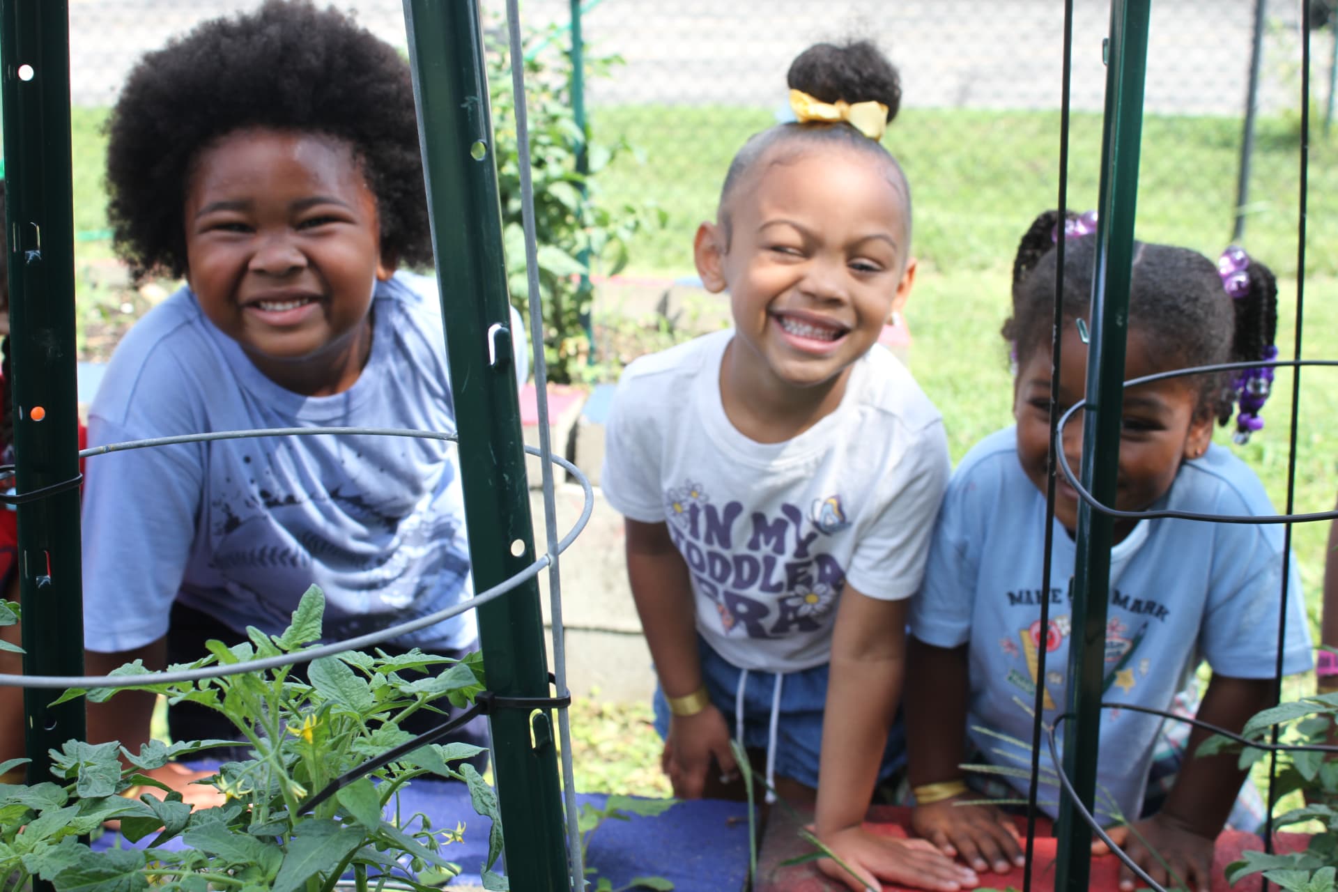 Laughing friends peeking through the tomato cages